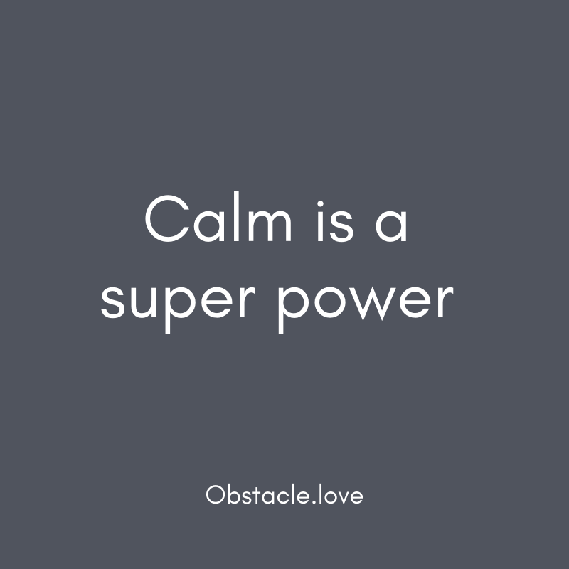 "Calm is a super power" quote 