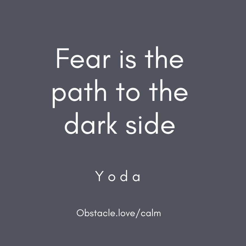 "Fear is the path to the dark side" - Yoda from Star Wars quote
