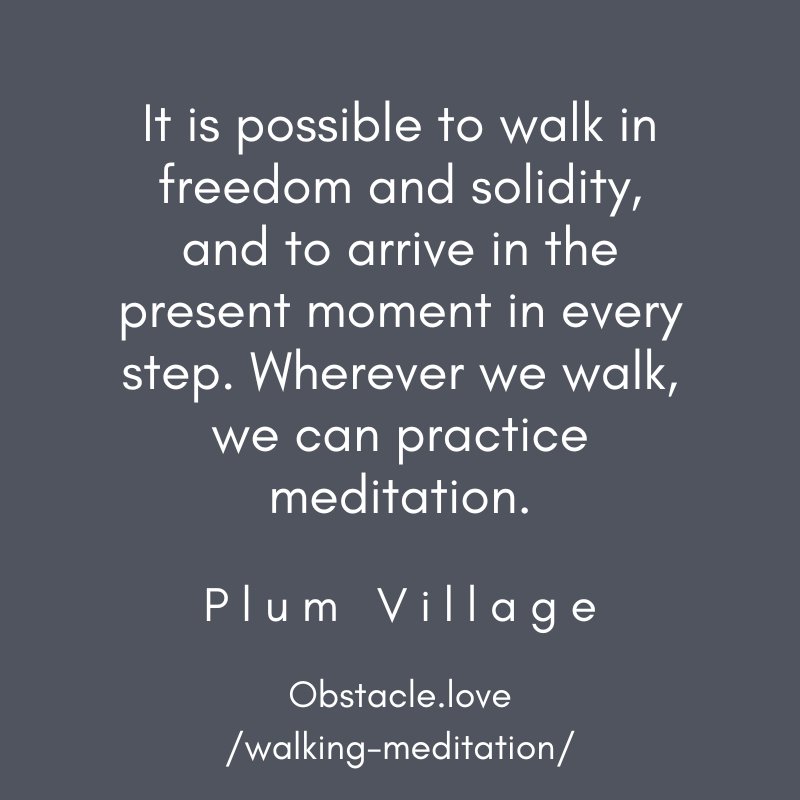 "It is possible to walk in freedom and solidity, and to arrive in the present moment in every step. Wherever we walk, we can practice meditation." Quote by Plum Village